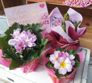 春ですね｜「フローリストワタナベ」　（長野県長野市の花キューピット加盟店 花屋）のブログ