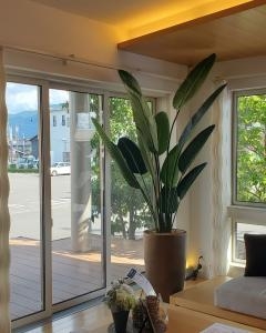 アーティフィシャル観葉植物|「フローリストワタナベ」　（長野県長野市の花屋）のブログ